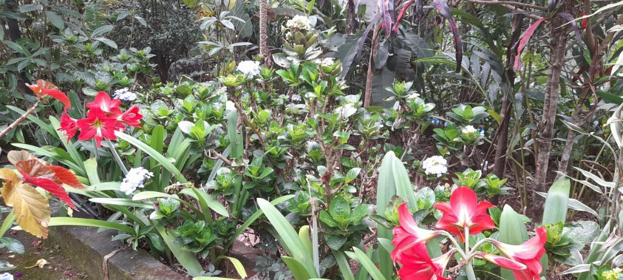 Le Farmhouse Munnar Anachal 外观 照片