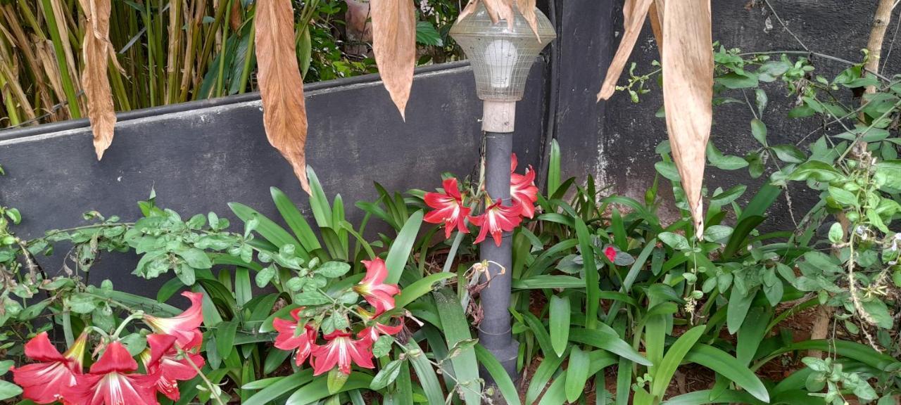 Le Farmhouse Munnar Anachal 外观 照片