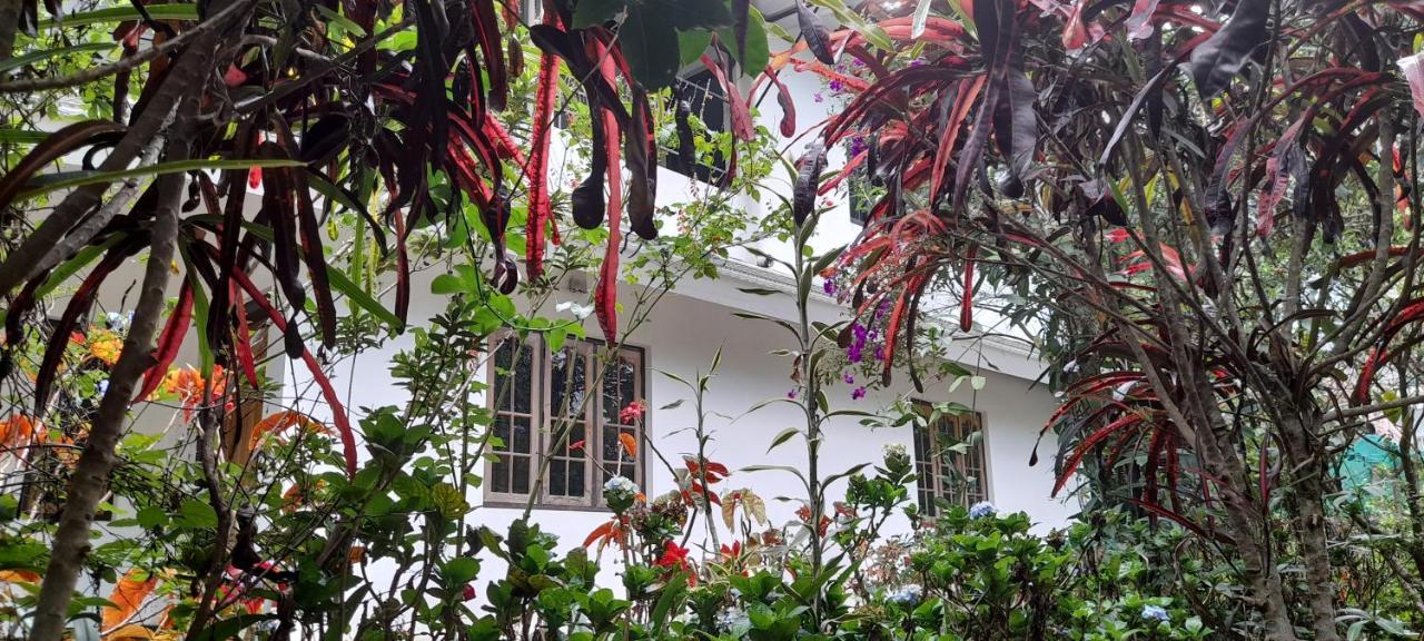 Le Farmhouse Munnar Anachal 外观 照片