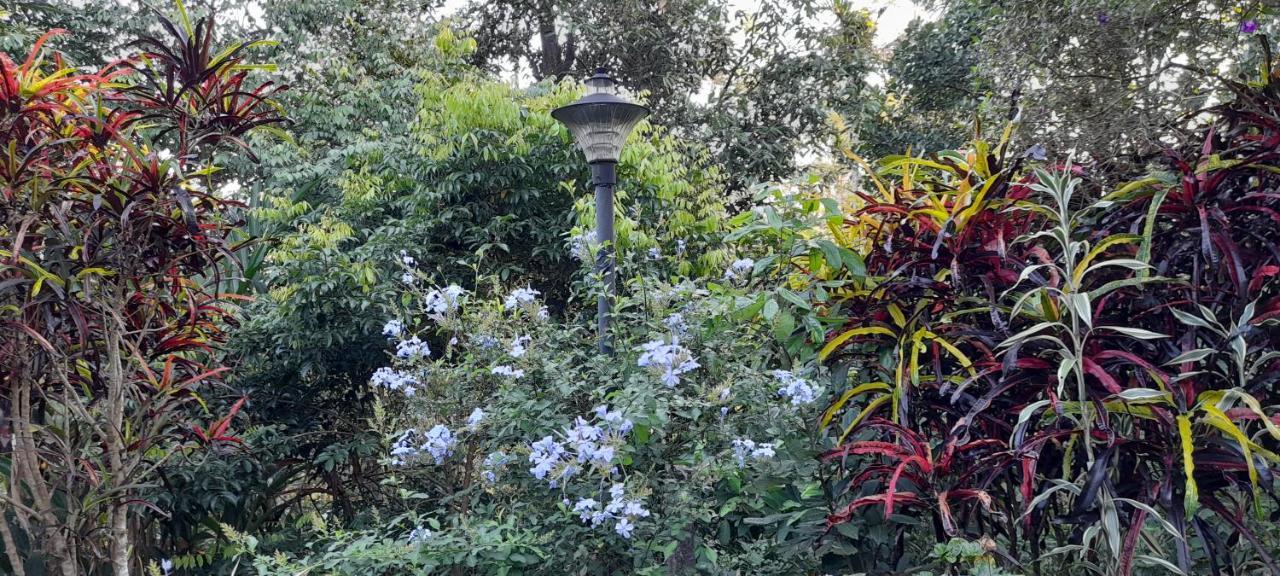 Le Farmhouse Munnar Anachal 外观 照片