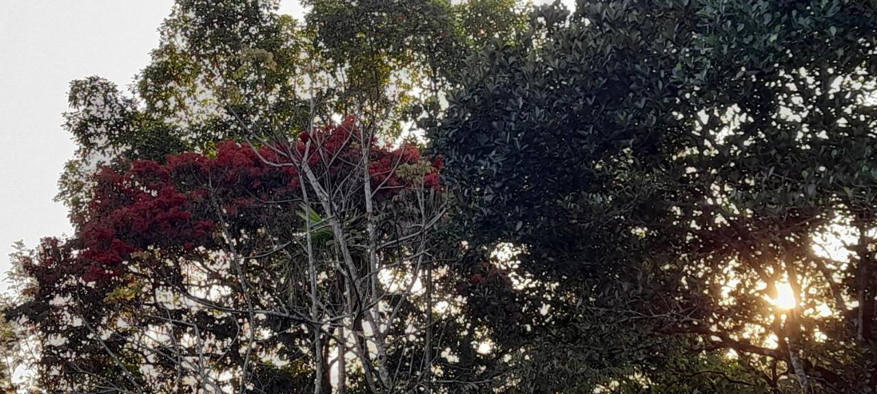 Le Farmhouse Munnar Anachal 外观 照片