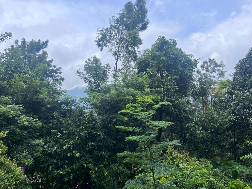 Le Farmhouse Munnar Anachal 外观 照片
