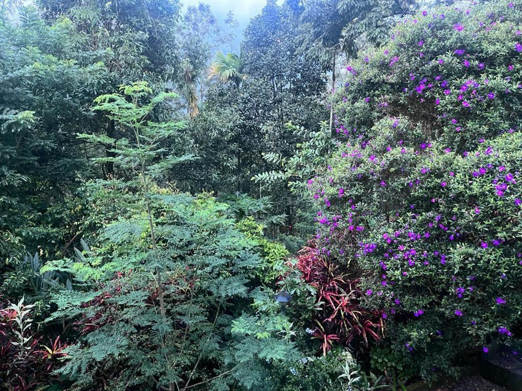 Le Farmhouse Munnar Anachal 外观 照片