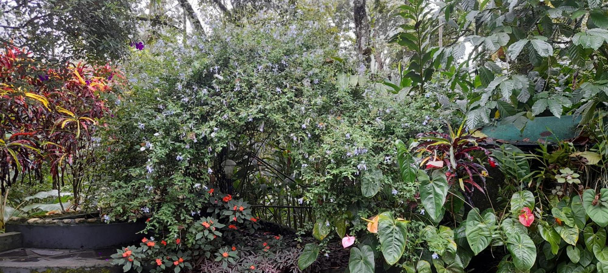 Le Farmhouse Munnar Anachal 外观 照片